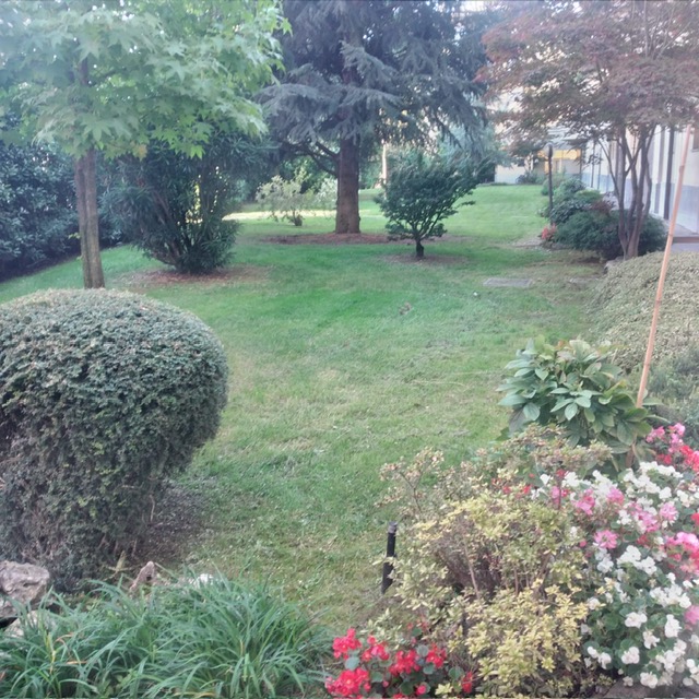 2a06f48c-6e43-46ce-a3f1-61b2aa849054