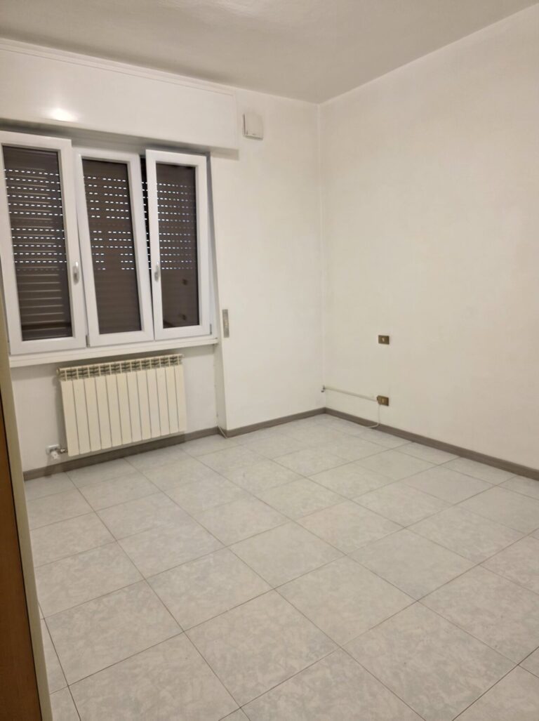 camera1